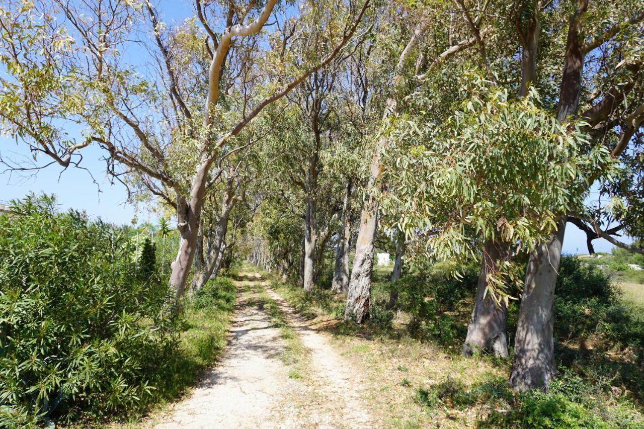 Bivilla Incalzi Villanova di Ostuni Luaran gambar